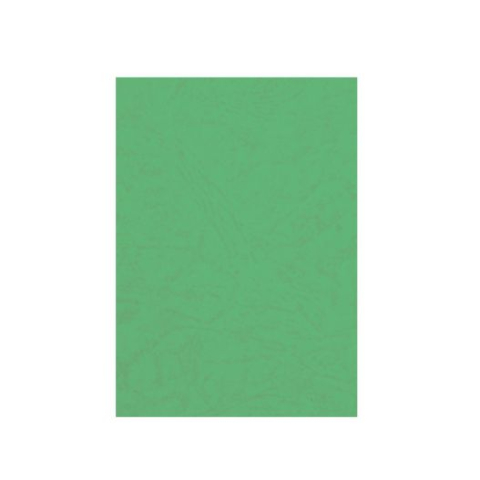 Rechizite Școlare - Coperta carton indosariat 230g Verde Forofis