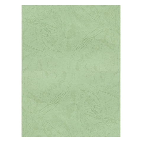 Birotică și Papetărie - Coperta indosariere A4 CNX, carton imitatie piele, fistic, 230g/mp, top 100 coli
