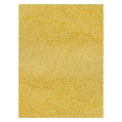 Birotică și Papetărie - Coperta indosariere A4 CNX, carton imitatie piele, ocru, 230g/mp, top 100 coli