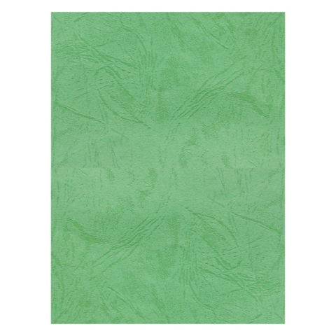 Birotică și Papetărie - Coperta indosariere A4 CNX, carton imitatie piele, verde, 230g/mp, top 100 coli