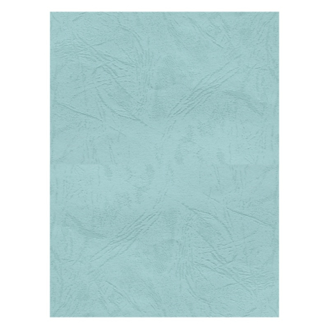 Birotică și Papetărie - Coperta indosariere A4 CNX, carton imitatie piele, verde pastel, 230g/mp, top 100 coli
