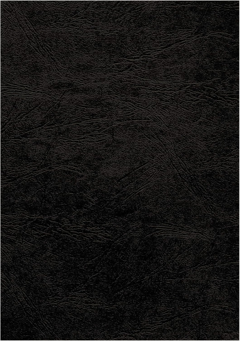 Coperti carton a3 negre 100/top fellowes [2]
