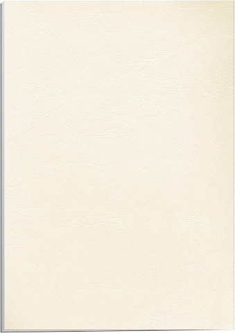 Coperti carton a4 crem 100/top fellowes [1]