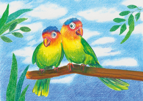 Creioane colorate triunghiulare + ascuțitoare eco Faber-Castell 24 culori/set [2]