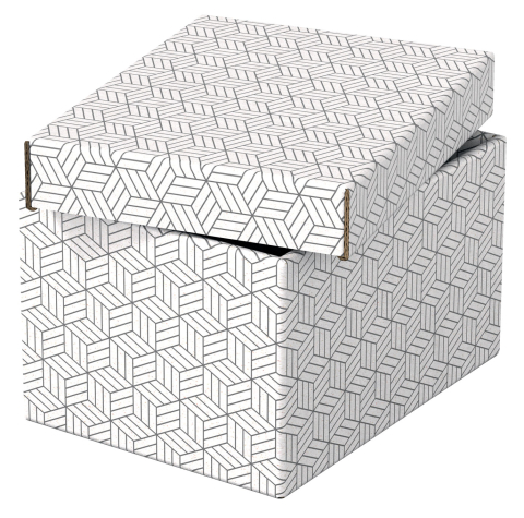 Cutie depozitare cu capac 25 x 20 x 15 cm alba recycled esselte [4]