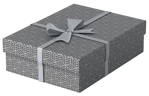Birotică și Papetărie - Cutie depozitare cu capac 36 x 26 x 10 cm gri recycled esselte