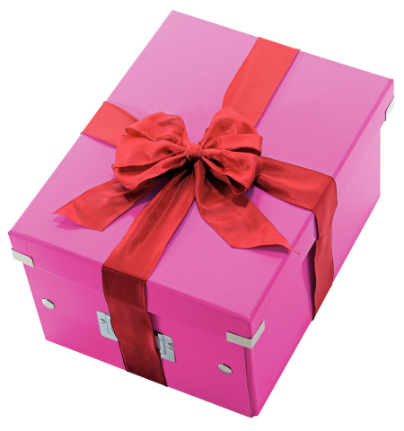 Cutie depozitare medie roz click&store leitz [4]