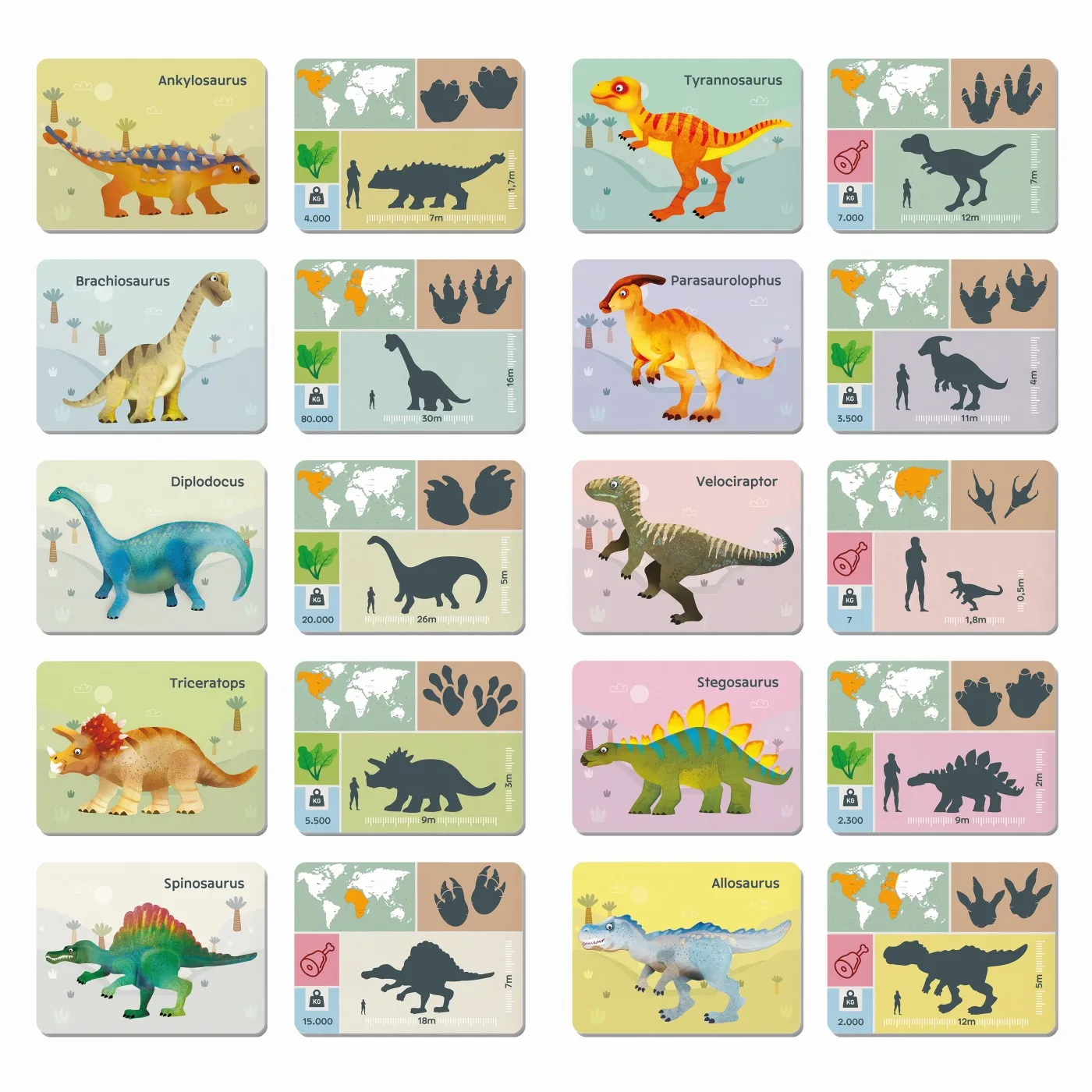 Cutie magnetica dinozauri, varsta de la 3 ani la 7 ani [4]