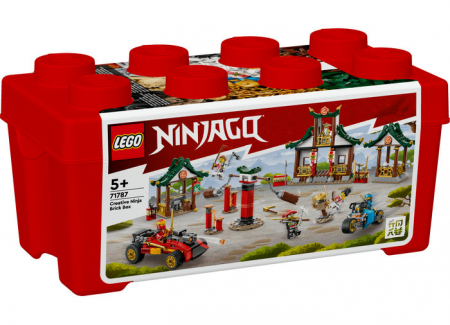 Cutie Ninja cu caramizi, varsta de la 5 ani la 12 ani [1]
