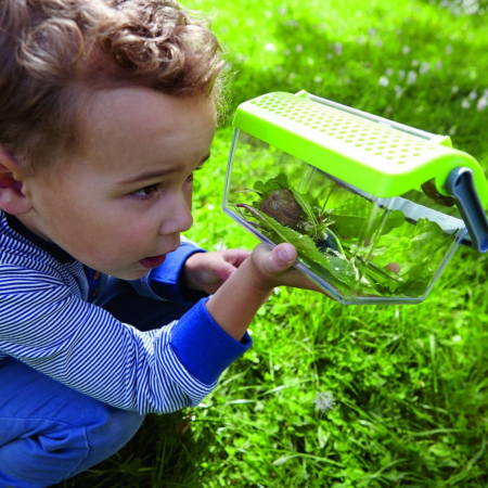 Cutie pentru insecte,Terra Kids ⭐ Micostore.ro [3]