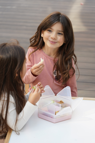 Cutie snack hexagon snackle 6 compartmente, melii, grey copii cu varsta peste 0 luni [6]