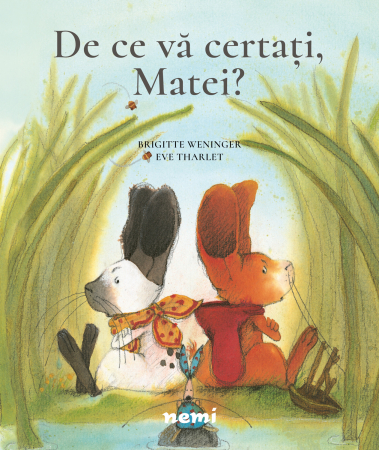 Cărți Educative, Activități - De ce va certati, Matei?