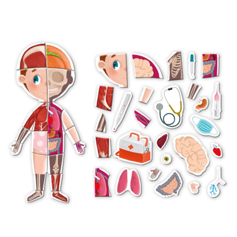 Descopera corpul omenesc, set magnetic cu 130 piese, copii varsta 5-10 [3]
