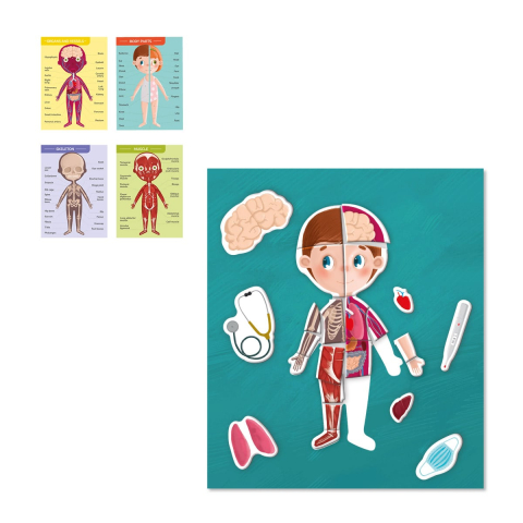 Descopera corpul omenesc, set magnetic cu 130 piese, copii varsta 5-10 [4]