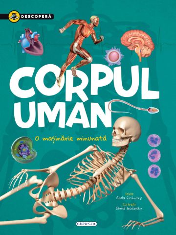 Cărți Educative, Activități - Descopera - Corpul uman