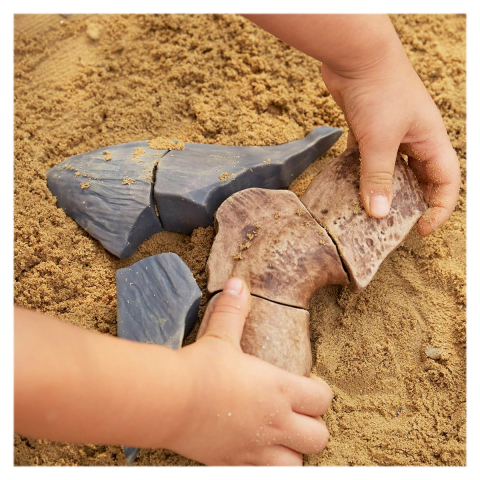 Dinte Megalodon, set magnetic 3D, Guidecraft, copii varsta 5+ ani [2]