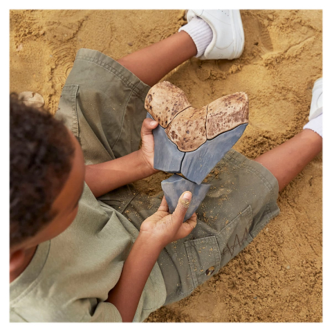 Dinte Megalodon, set magnetic 3D, Guidecraft, copii varsta 5+ ani [1]