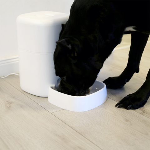 Dispenser hrană animale WiFi Tellur Smart, Cameră UltraHD, 4L, Alb [7]