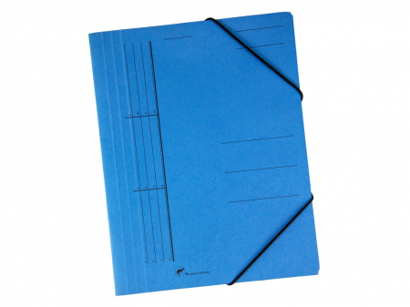 Dosare din carton - Dosar plic premium cu elastic
