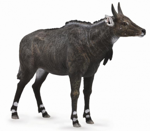 Jucării și Jocuri pentru copii - Figurina Antilopa Nilgai L Collecta