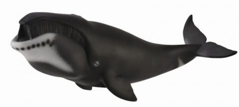 Jucării și Jocuri pentru copii - Figurina Balena Bowhead XL Collecta