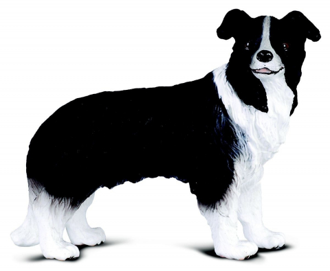Jucării și Jocuri pentru copii - Figurina Border Collie