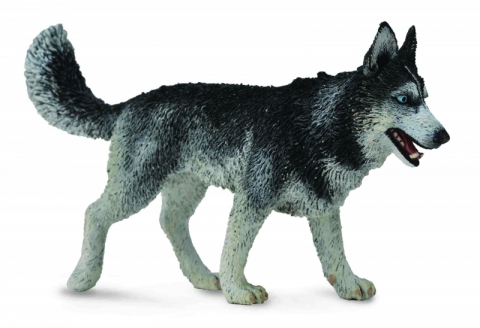 Jucării și Jocuri pentru copii - Figurina Caine Husky Siberian L Collecta