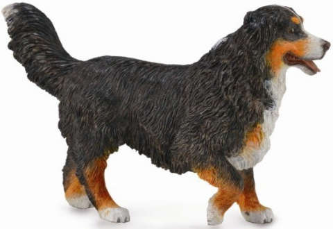Jucării și Jocuri pentru copii - Figurina Ciobanesc de Bernese L Collecta