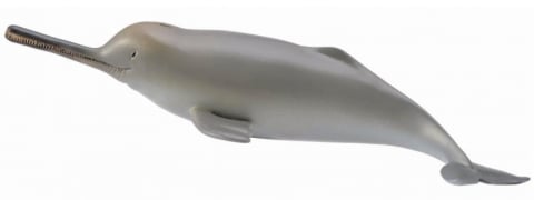 Jucării și Jocuri pentru copii - Figurina Delfin de Gange M Collecta