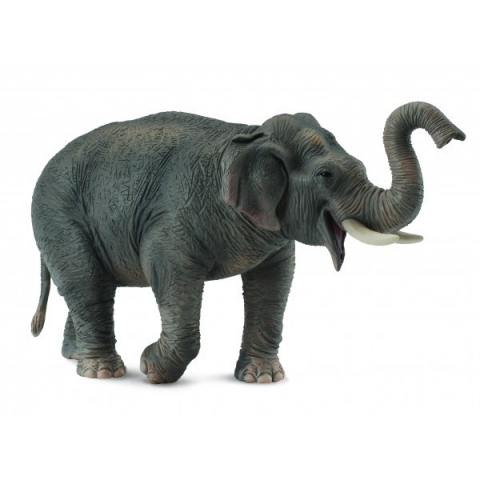 Jucării și Jocuri pentru copii - Figurina Elefant asiatic XL Collecta