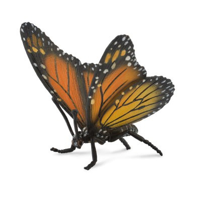 Jucării și Jocuri pentru copii - Figurina Fluture Monarh L Collecta