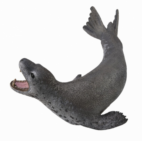Jucării și Jocuri pentru copii - Figurina Foca Leopard L Collecta