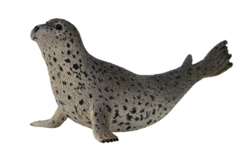 Jucării și Jocuri pentru copii - Figurina Foca Pestrita Collecta