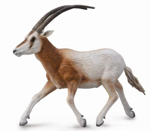 Jucării și Jocuri pentru copii - Figurina Gazela Oryx cu coarne sabie L Collecta