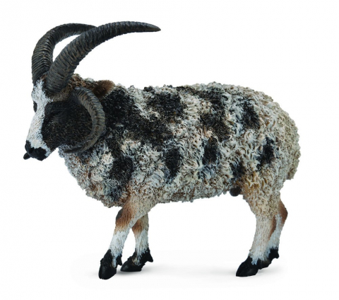 Jucării și Jocuri pentru copii - Figurina Jacob Sheep L Collecta