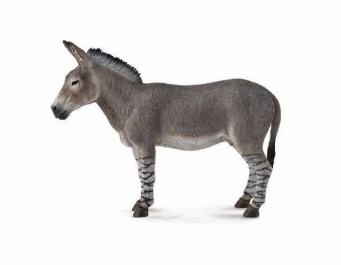 Jucării și Jocuri pentru copii - Figurina Magar Salbatic African L Collecta