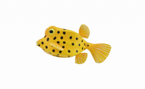 Jucării și Jocuri pentru copii - Figurina Peste Cubicus Boxfish S Collecta