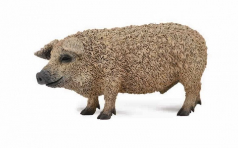 Jucării și Jocuri pentru copii - Figurina Porc Unguresc M Collecta