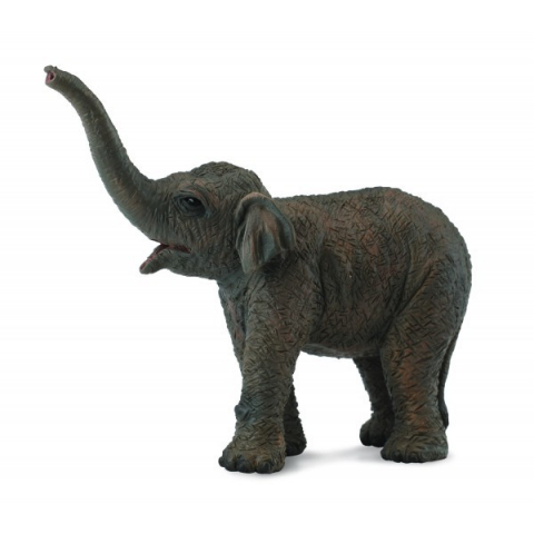 Jucării și Jocuri pentru copii - Figurina pui de Elefant asiatic S Collecta