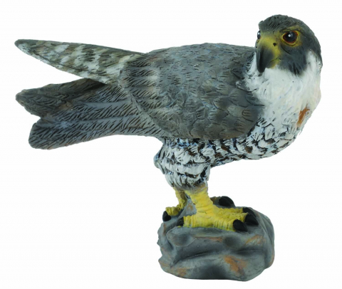 Jucării și Jocuri pentru copii - Figurina Soim calator S Collecta
