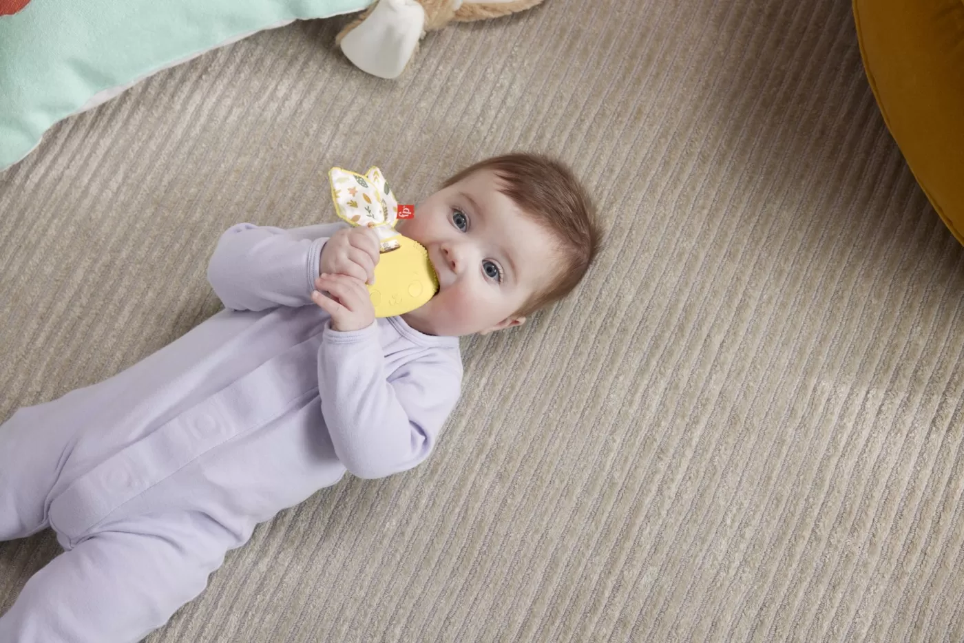 Jucarie dentitie bebelusi - Iepuras, Fisher Price, varsta de la 3 luni la 2 ani [2]