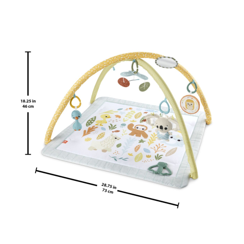 Fisher price salteluta de gimnastica pentru nou nascuti copii varsta 0 luni - 9 luni [1]