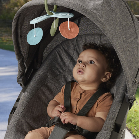 Fisher price salteluta de gimnastica pentru nou nascuti copii varsta 0 luni - 9 luni [7]