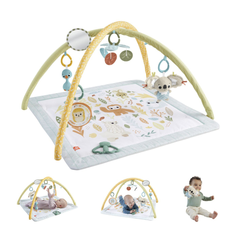 Fisher price salteluta de gimnastica pentru nou nascuti copii varsta 0 luni - 9 luni [11]