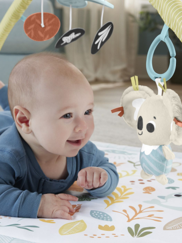 Fisher price salteluta de gimnastica pentru nou nascuti copii varsta 0 luni - 9 luni [8]