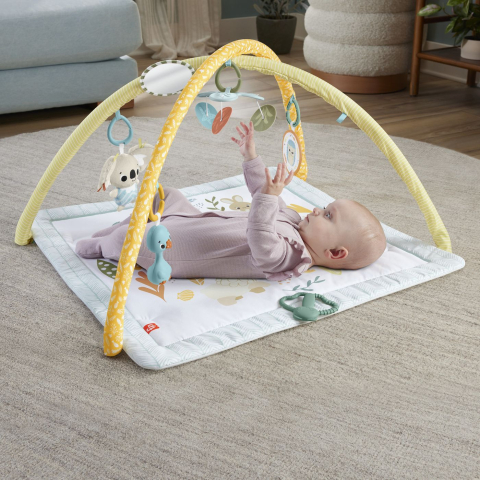 Fisher price salteluta de gimnastica pentru nou nascuti copii varsta 0 luni - 9 luni [5]