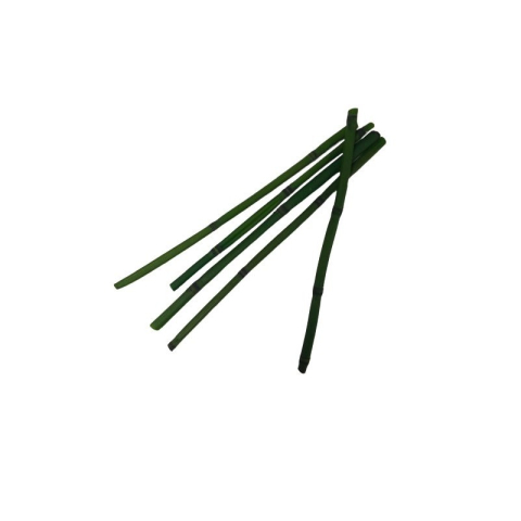 Cadouri Jucării Copii Grădiniță - Foliage Bamboo, verde, punga 3 buc, Colorarte