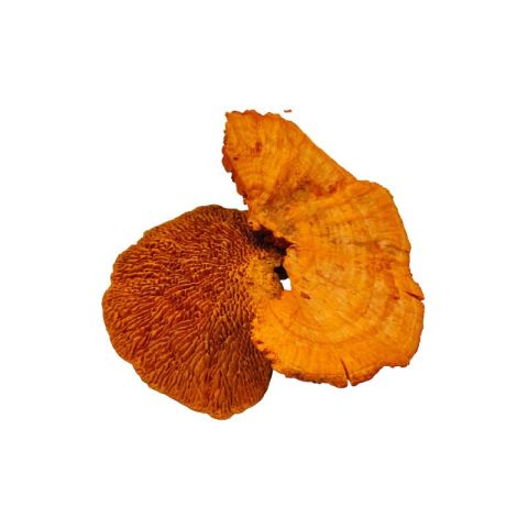 Cadouri Jucării Copii Grădiniță - Foliage Ciuperca, punga 2 buc, Colorarte