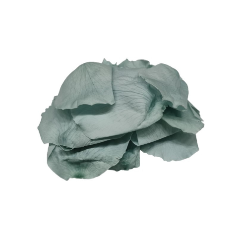 Cadouri Jucării Copii Grădiniță - Foliage trandafir, blue ciel, petale, punga 6g, Colorarte
