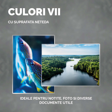 Folie a3 80 microni 100/top fellowes [4]